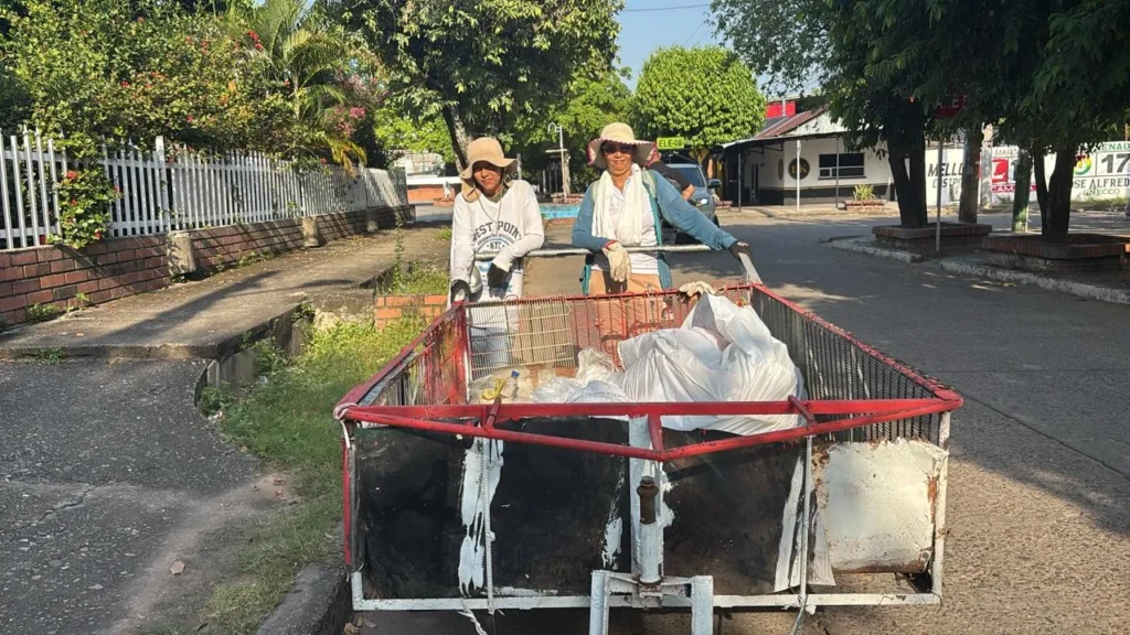 recicladores